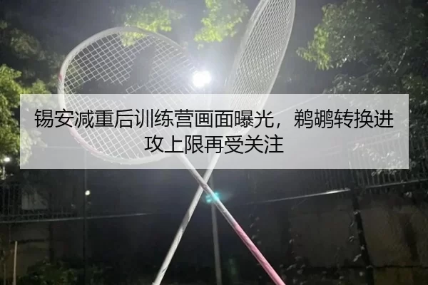 锡安减重后训练营画面曝光，鹈鹕转换进攻上限再受关注