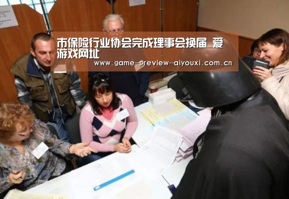 市保险行业协会完成理事会换届_爱游戏网址