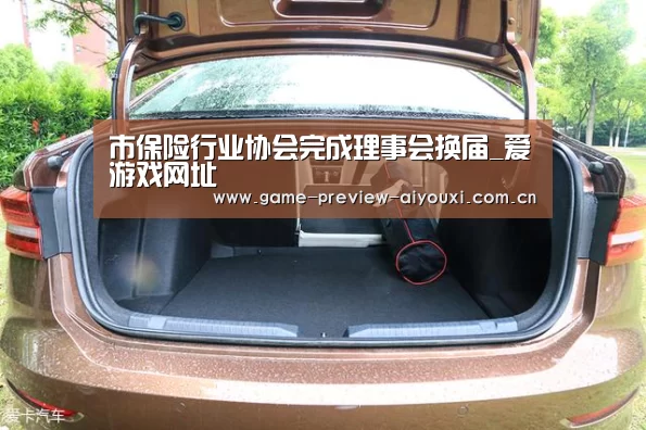 市保险行业协会完成理事会换届_爱游戏网址(图2) 爱游戏网址