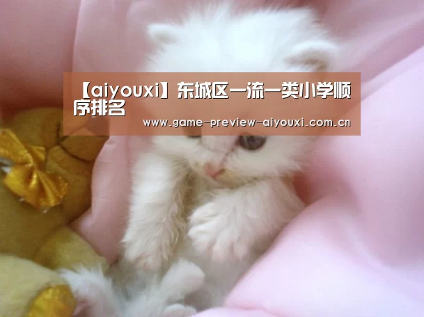 【aiyouxi】东城区一流一类小学顺序排名(图1)