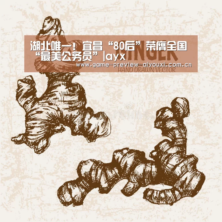 爱游戏网址