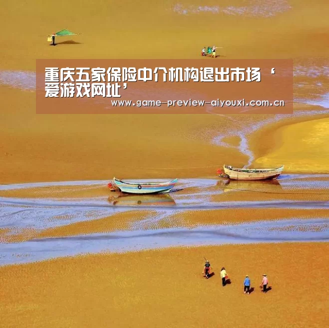 重庆五家保险中介机构退出市场‘爱游戏网址’(图1) 爱游戏全站